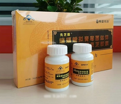 蝙蝠蛾擬青霉菌絲體蜂膠靈芝膠囊 融合傳統與現代的日用保健新選擇