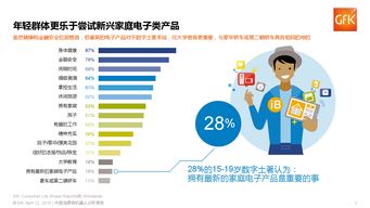 互聯網數據中心 以199it為例探析互聯網數據服務的價值與發展